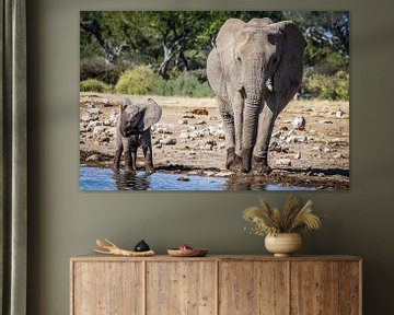 Elephant with baby Elephant drinking water on African plains by Original Mostert Photography