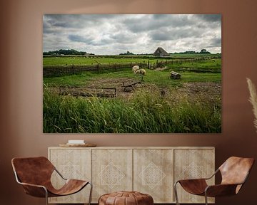 Sheep Grassland by Lotte Klous