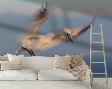 Preparing for landing