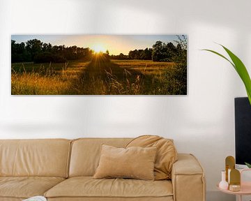 Landschap 7