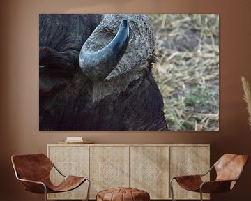 buffel close-up in Kenia Afrika van Mieke Verkennis