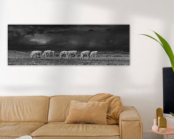 Koeien in het Noorderleeg met een een donkere wolkenlucht