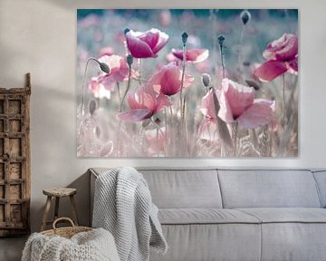 Poppies pastel rose by Julia Delgado