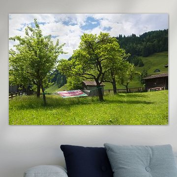 Dreaming away in Austria