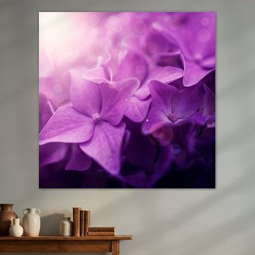 Rosa Blumen verträumt