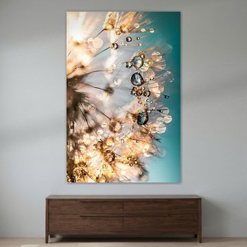 Dandelion seeds with dew drops by Julia Delgado