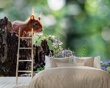 Squirrel by Adriaan Westra