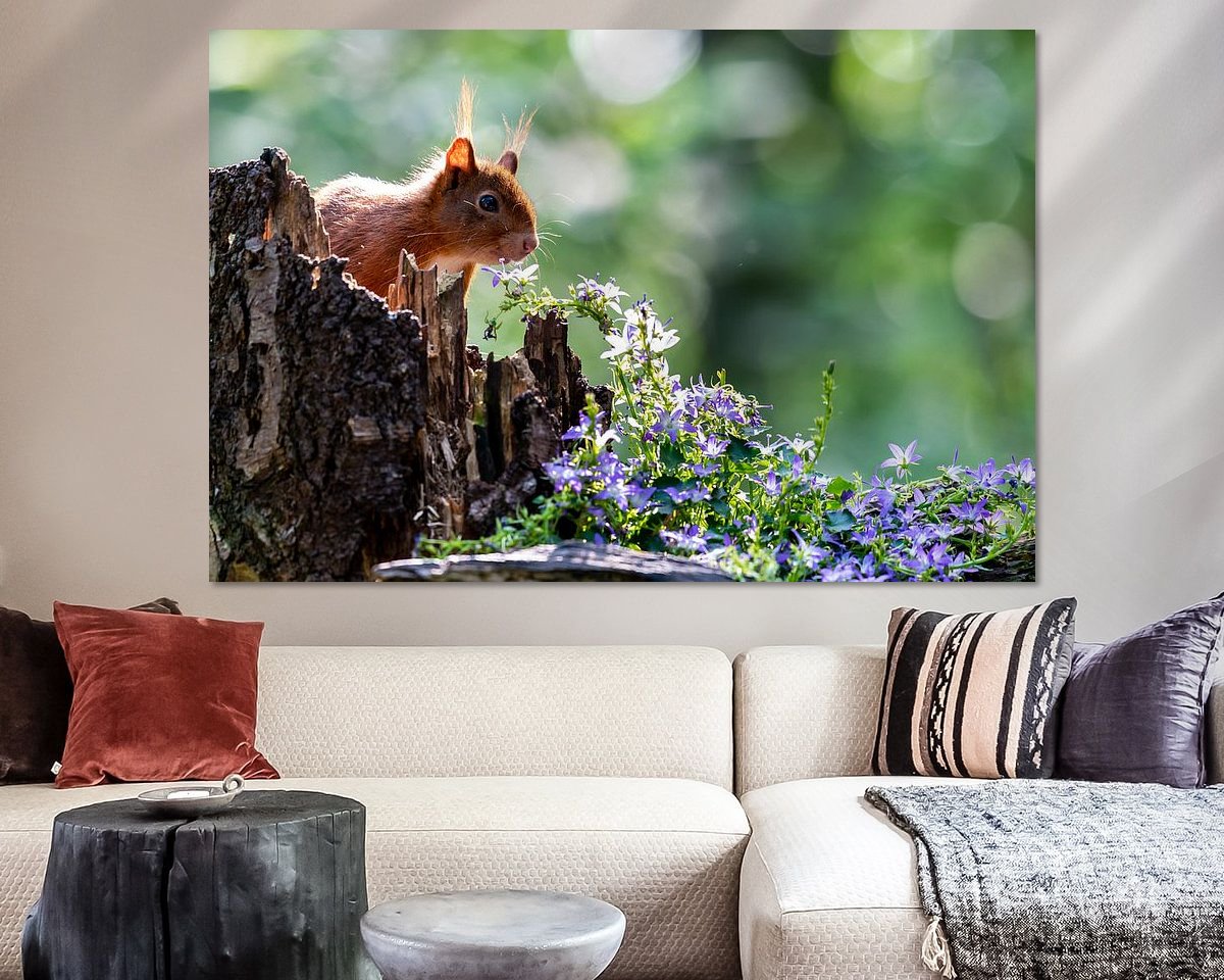 Raumvorschau
