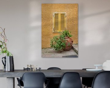 yellow painted wall with plant in vase