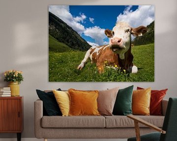 Cow in Austria by Cynthia Hasenbos