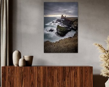 Birds and Icelandic coast. von Remco van Adrichem