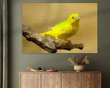 Canary Yellow van True Color Stories