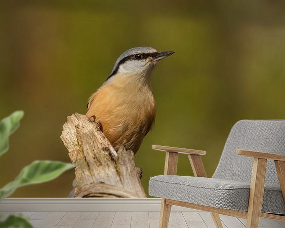 Voorbeeld van het werk in een kamer