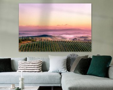 Vignoble dans le paysage toscan sur Tony Buijse