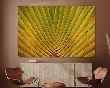 Palm Leaf van Ioana Hraball