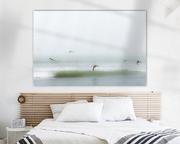 Vogels boven het strand van Eddy Westdijk