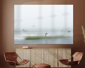 Vögel über dem Strand von Eddy Westdijk