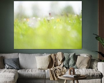 Dromerige opname veldbloemen