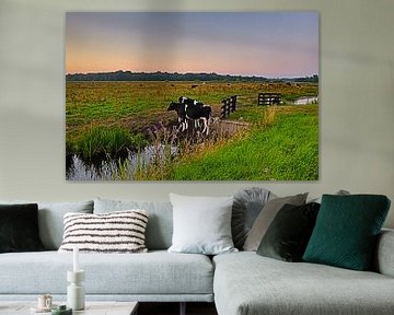 Vaches au Naardermeer