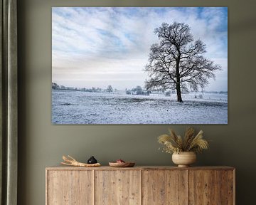Paysage d'hiver avec arbre isolé sur Gijs Rijsdijk