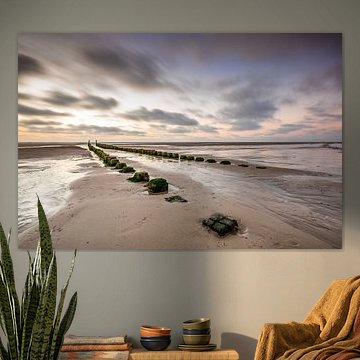 Polehead by Linda Raaphorst