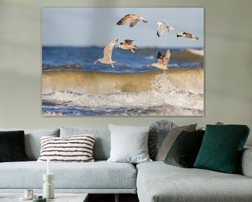 Herring Gulls over surf in the North Sea by Beschermingswerk voor aan uw muur
