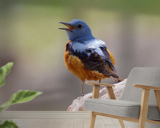 Voorbeeld van het werk in een kamer