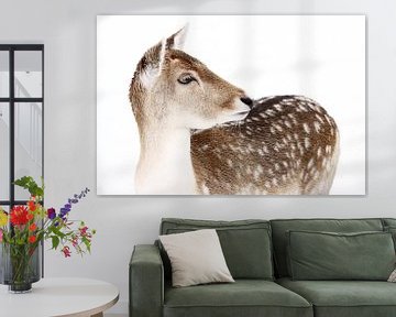 Fallow deer in the snow by MSP Canvas