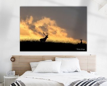 Red deer von Arien Linge