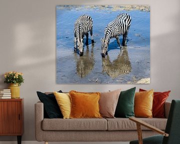 Zebra's in reflectie van Karin Mooren