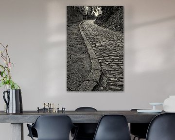 Cobble street in Kraainem, black and white by Manuel Declerck