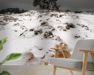 Sneeuw en Zand III van Mark Leeman