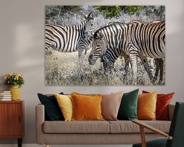 Schöne Zebras auf afrikanischen Ebenen von Original Mostert Photography