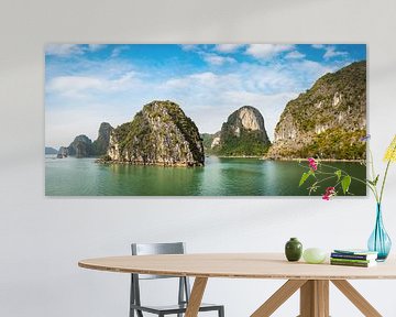 Panorama van de rotsen in Halong Bay, Vietnam