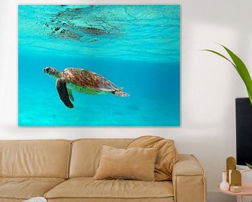 Zoutpier Bonaire geniet van het mooie schildpadje. van Silvia Weenink