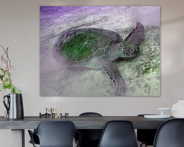 Groen Schildpadje.