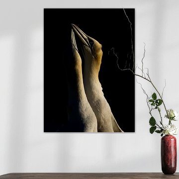 L'amour dans le noir