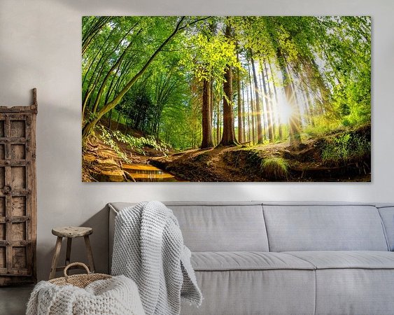 Aperçu de la chambre