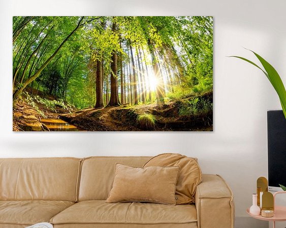 Aperçu de la chambre