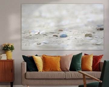 Muscheln am Strand