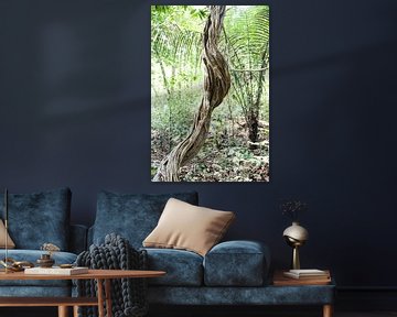 De liaan is een kunstobject in het regenwoud van suriname van whmpictures .com