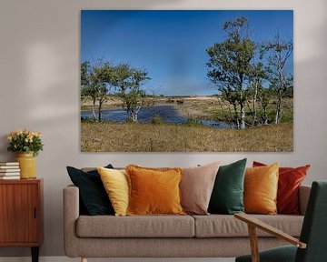 Summer landscape Dutch dunes sur Robert van der Horst