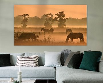 Friese paarden in de mist van Jitske Van der gaast