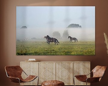 Friese paarden in de mist van Jitske Van der gaast