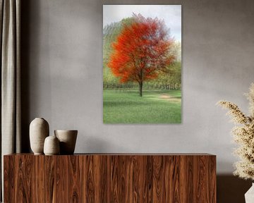 Seasons colors van Patrick LR Verbeeck