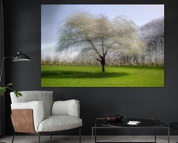 18 pictures of an apple tree  van Patrick LR Verbeeck