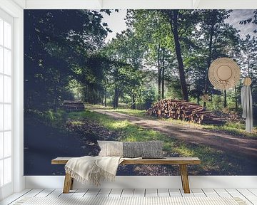 Baumstämme entlang Wanderweg im Wald auf der Veluwe von Fotografiecor .nl