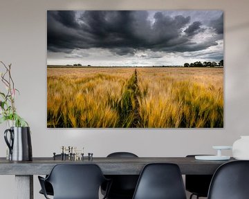 Threatening rain clouds over wheat landscape by Fotografiecor .nl