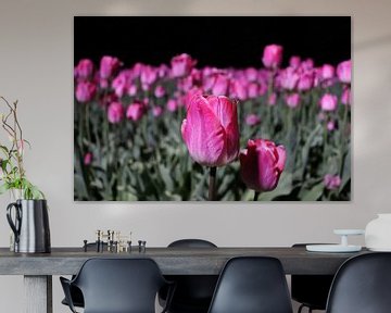 Roze tulpen bij nacht van Jacqueline Holman