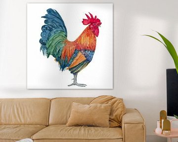 Coq, aquarelle colorée d'un coq de Bantam sur Studio Heyki